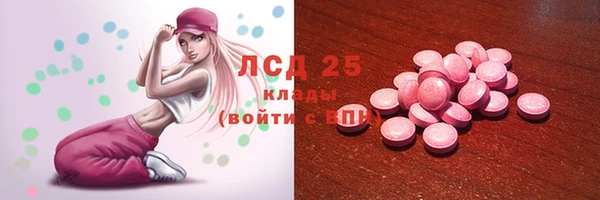 гидра Бородино