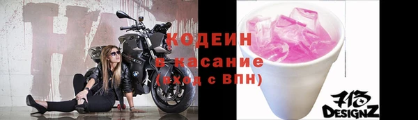 гидра Бородино