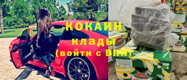 гидра Бородино